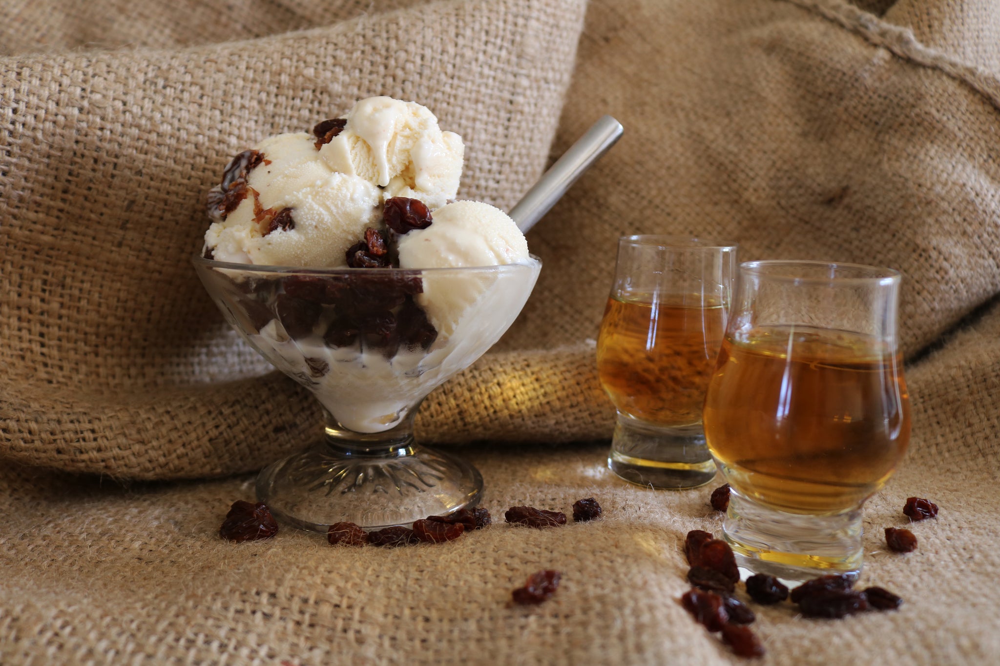 Where Can I Buy Rum Raisin Ice Cream